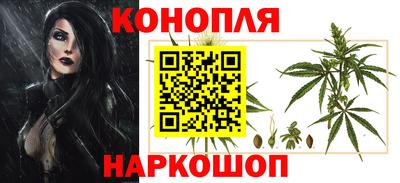альфа пвп Владивосток