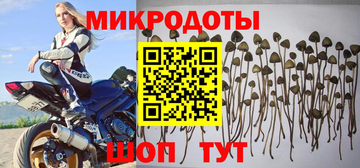 Галлюциногенные грибы MAGIC MUSHROOMS  Псилоцибиновые грибы GOLDEN TEACHER  Вход с VPN  Бахчисарай 